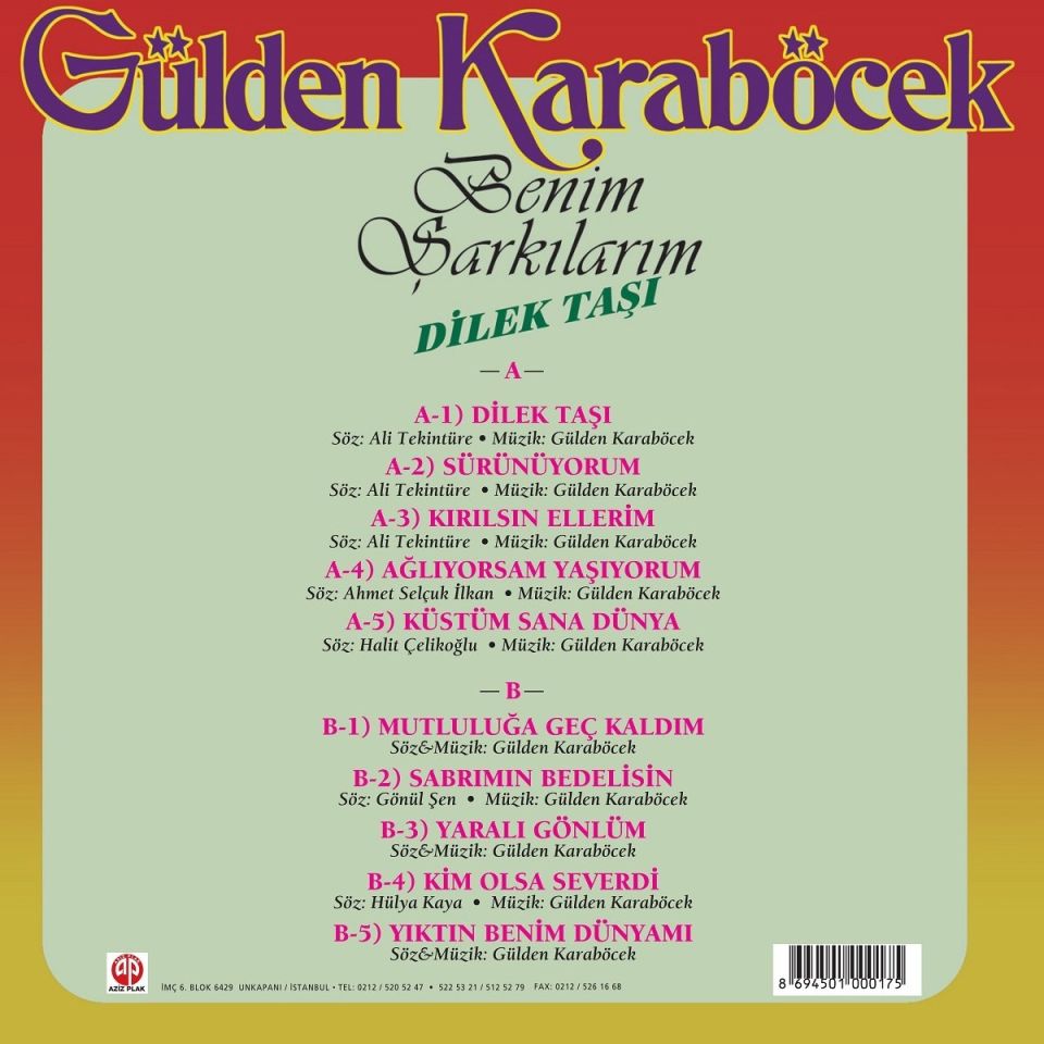 GÜLDEN KARABÖCEK - BENİM ŞARKILARIM (DİLEK TAŞI) (LP)