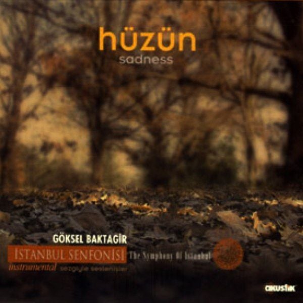 GÖKSEL BAKTAGİR - HÜZÜN (SADNESS)