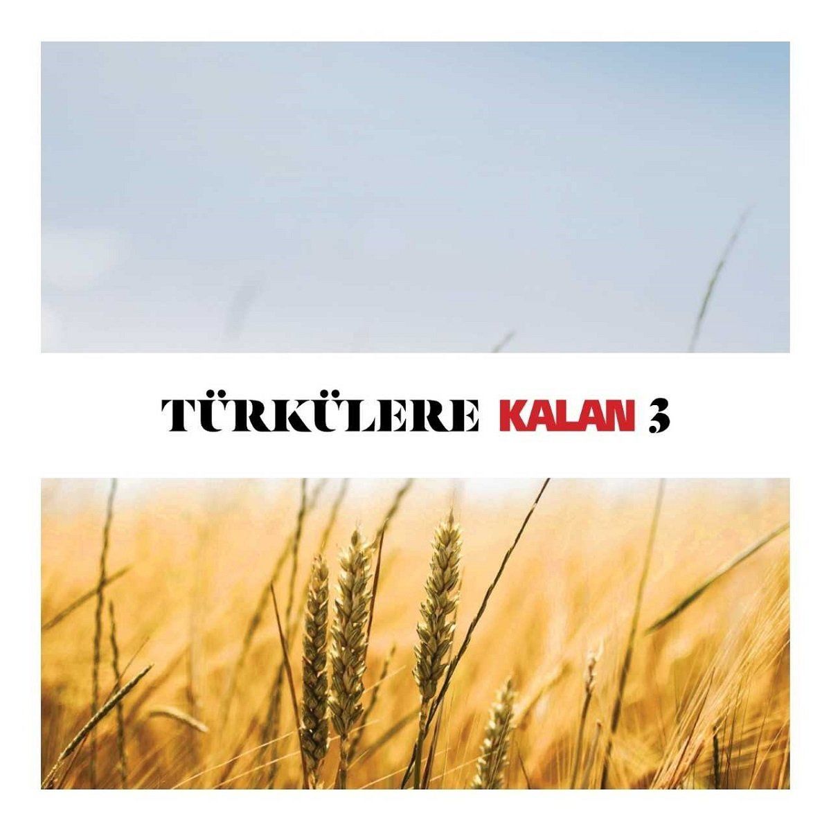 TÜRKÜLERE KALAN 3 - ÇEŞİTLİ SANATÇILAR