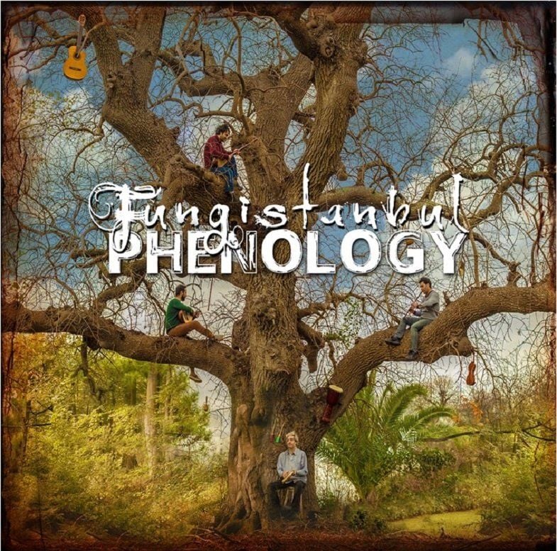 FUNGİSTANBUL - PHENOLOGY
