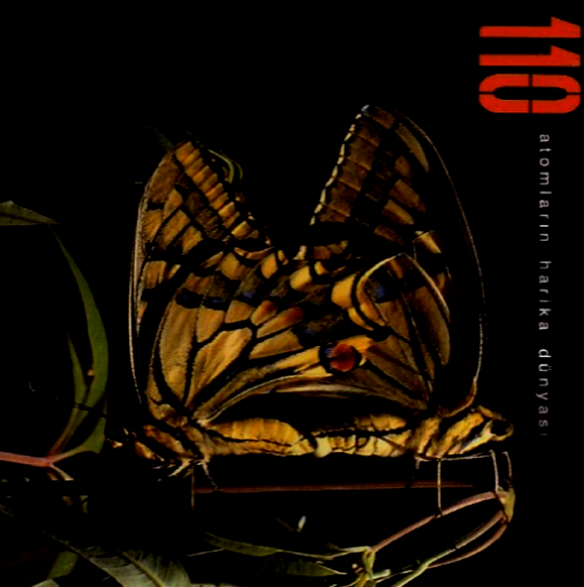 110 - ATOMLARIN HARİKA DÜNYASI (CD) (2005)