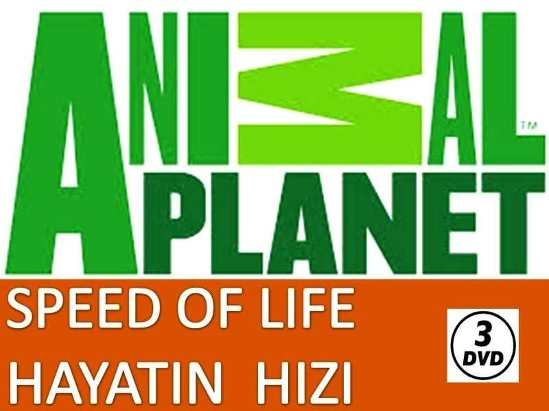 SPEED OF LIFE / HAYATIN HIZI - ANIMAL PLANET