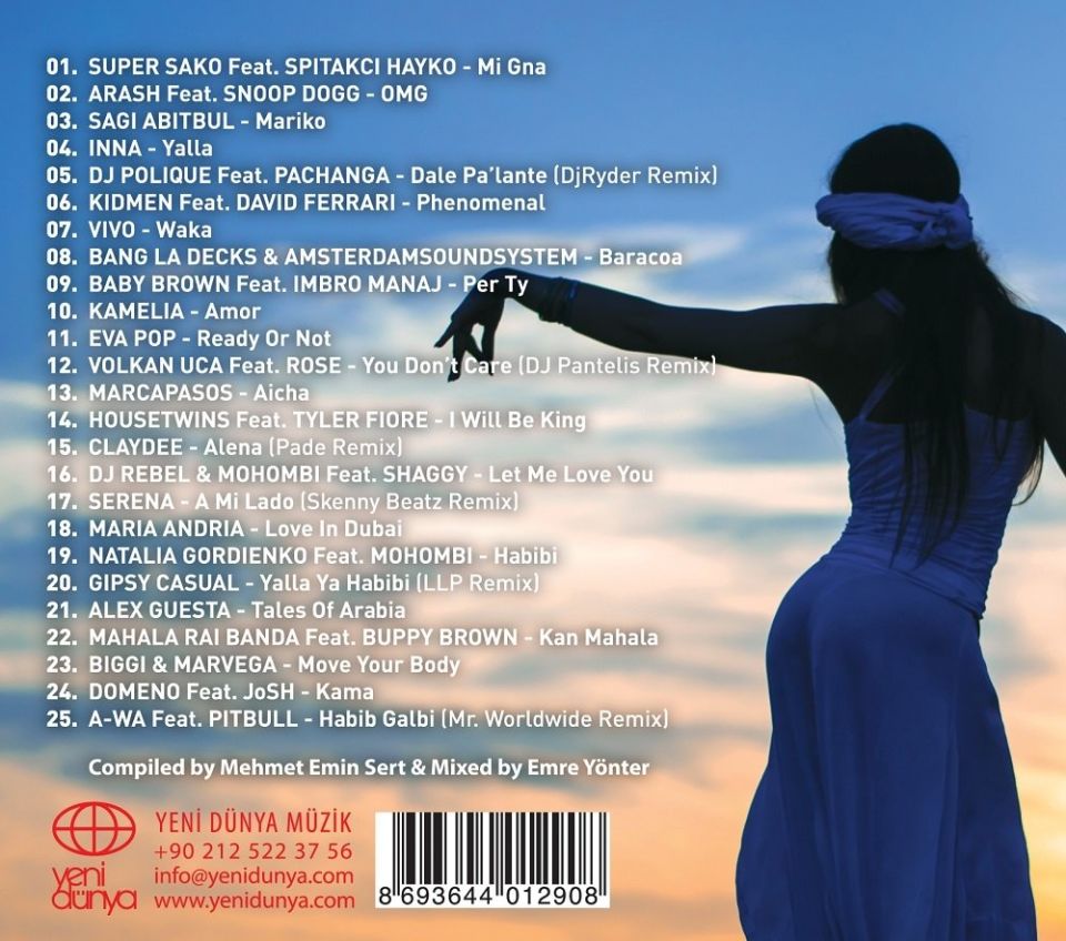 ETHNIC & ELECTRONIC DANCE PARTY - VARIOUS