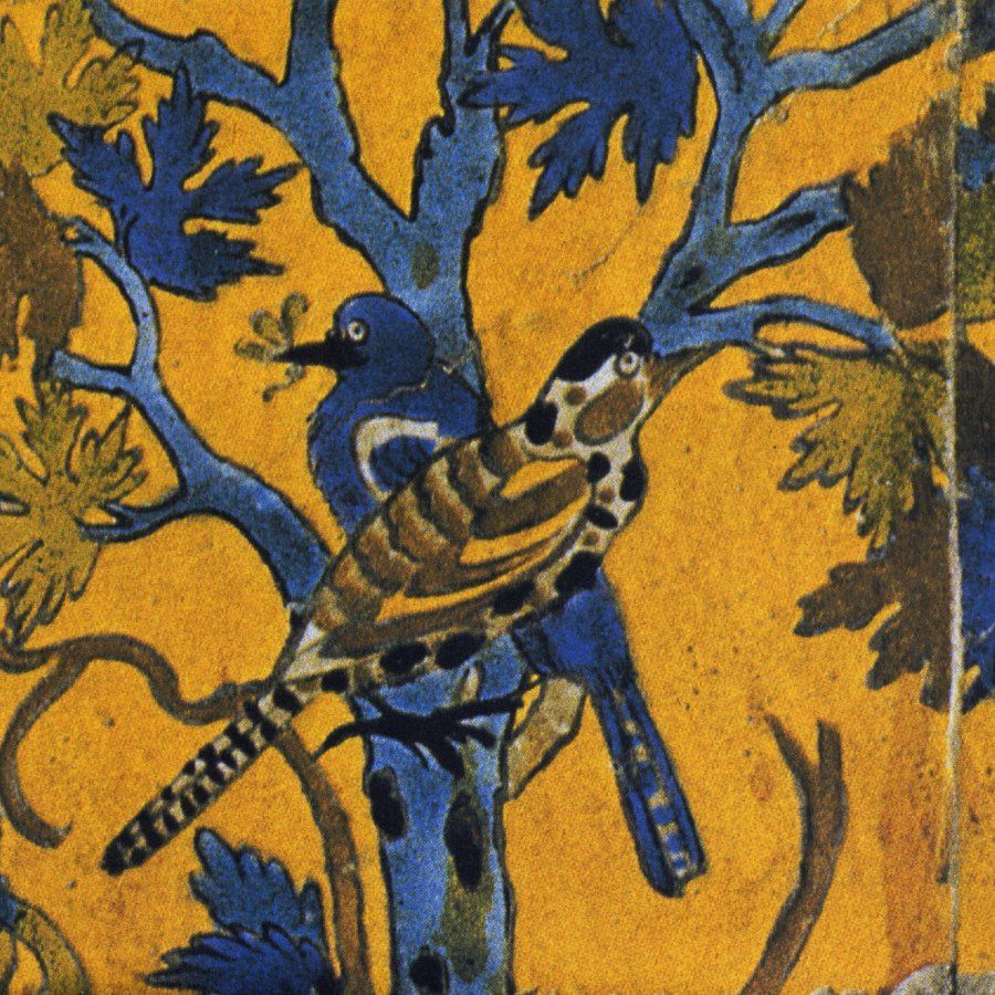 NIGHT ARK - IN WONDERLAND