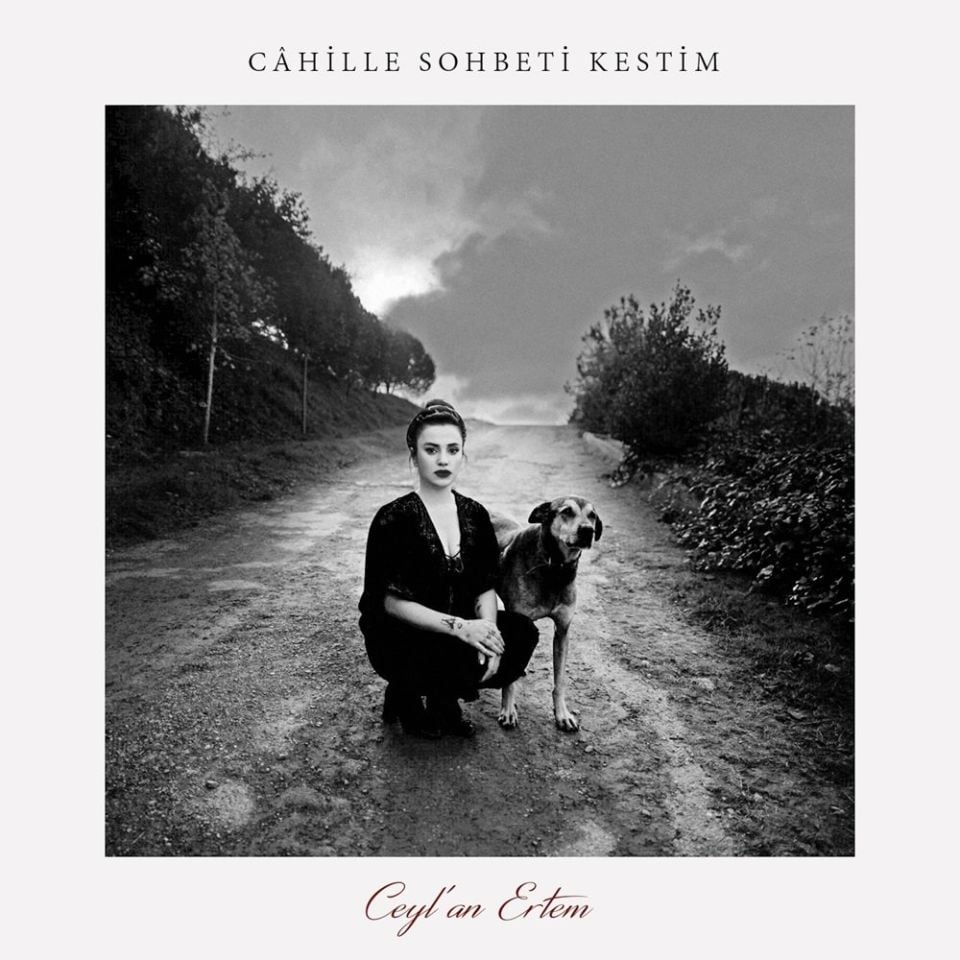 CEYLAN ERTEM - CAHİLLE SOHBETİ KESTİM (LP)
