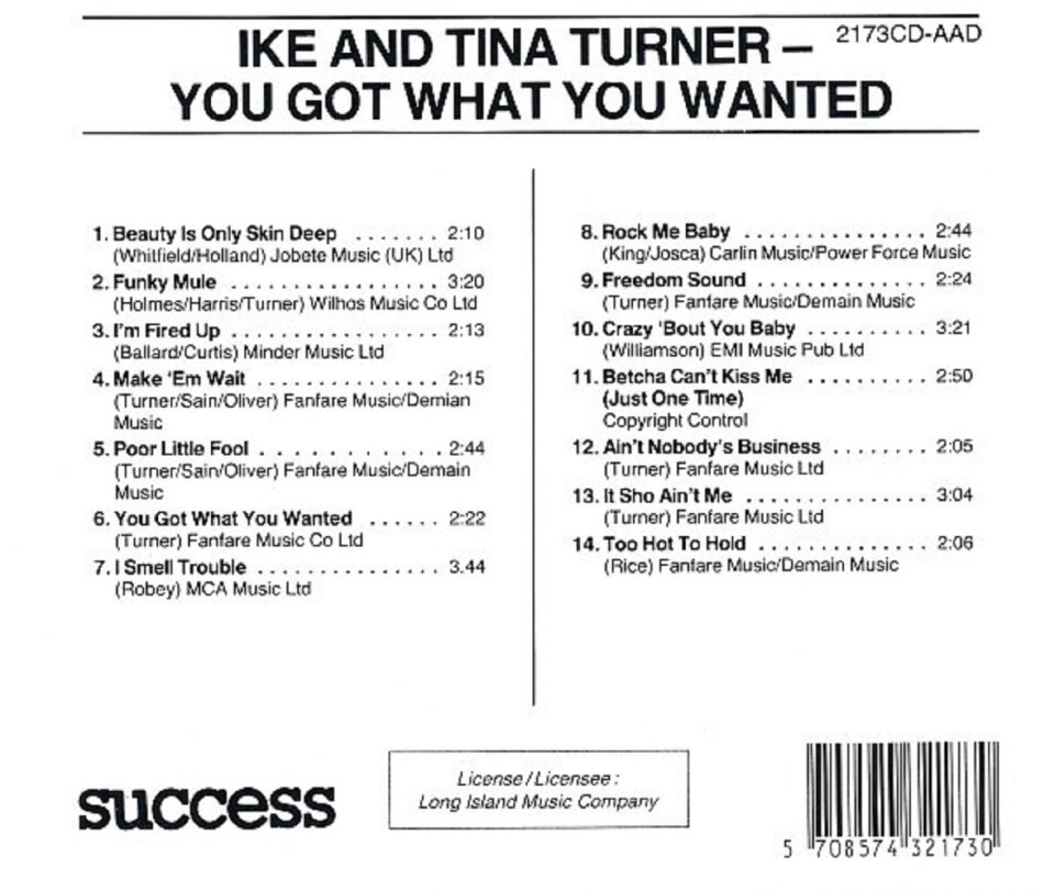 TINA TURNER - TINA COLLECTION (3CD) (1989-1990)