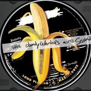 DANDY WARHOLS - THE DANDY WARHOLS ARE SOUN