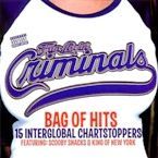 FUN LOVIN' CRIMINALS - BAG OF HITS