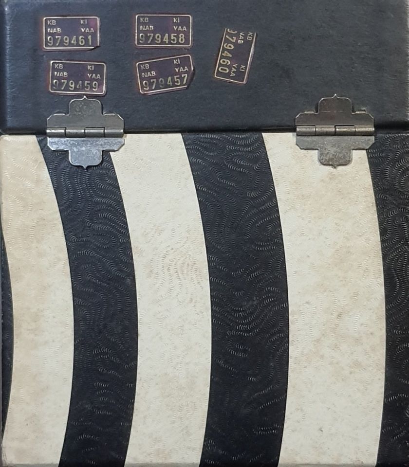 THE SMASHING PUMPKINS - THE AEROPLANE FLIES HIGH