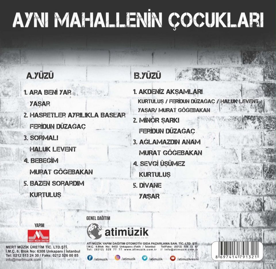 AYNI MAHALLENİN ÇOCUKLARI - HALUK LEVENT, MURAT GÖĞEBAKAN, KURTULUŞ, FERİDUN DÜZAĞAÇ, YAŞAR (LP)