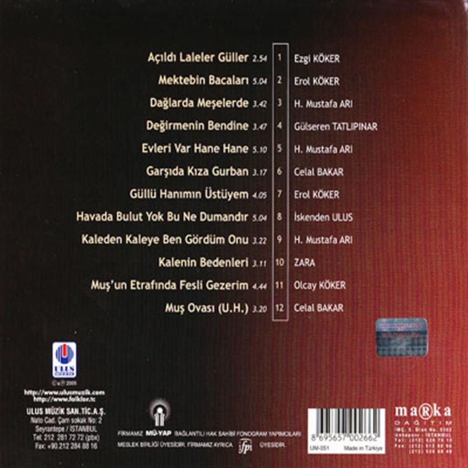 TÜRKÜLERLE TÜRKİYE (TÜRKİYE WITH FOLK SONGS) - 49 MUŞ (CD)