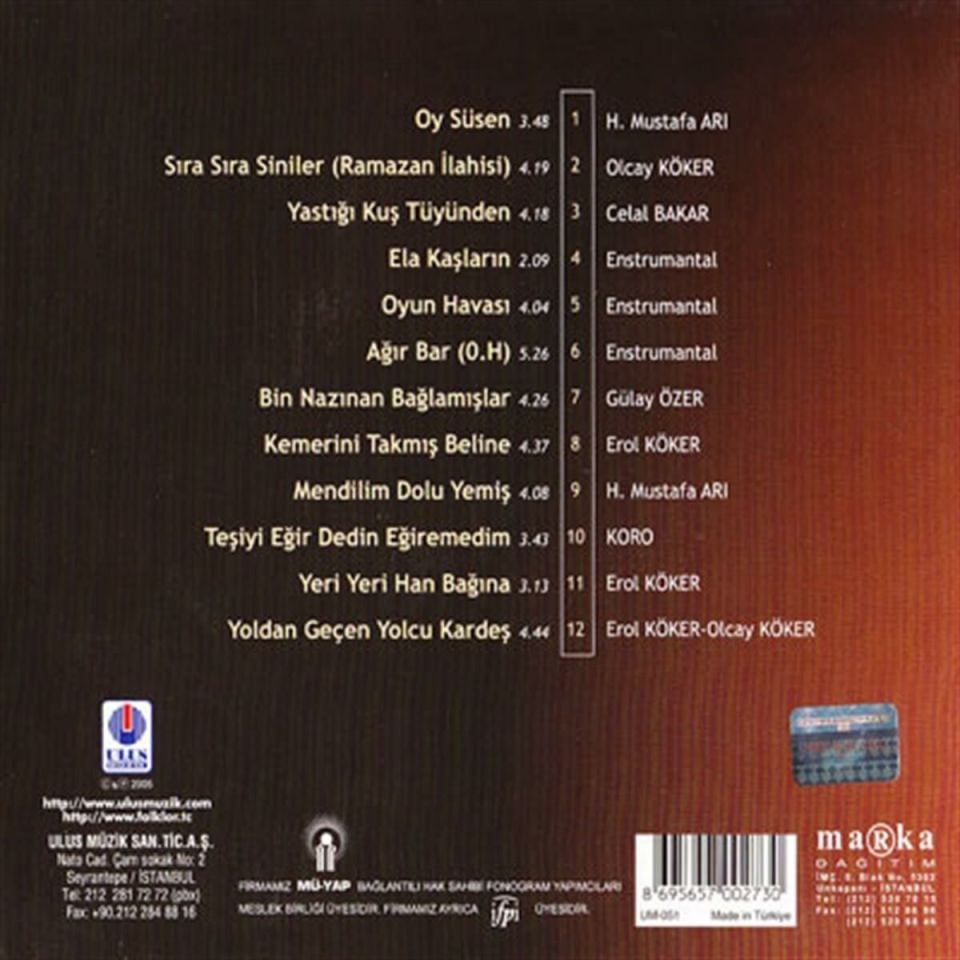 TÜRKÜLERLE TÜRKİYE (TÜRKİYE WITH FOLK SONGS) - 56 SİİRT (CD)