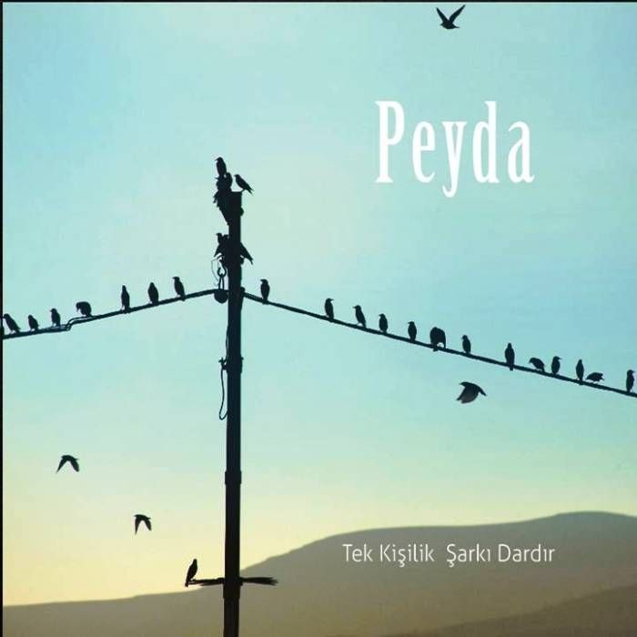 PEYDA - TEK KİŞİLİK ŞARKI DARDIR