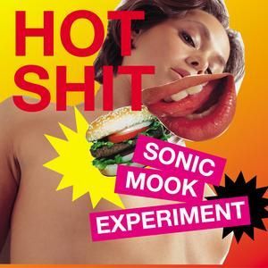 VARIOUS ARTISTS - SONIC MOOK EXPERIMENT 3 -