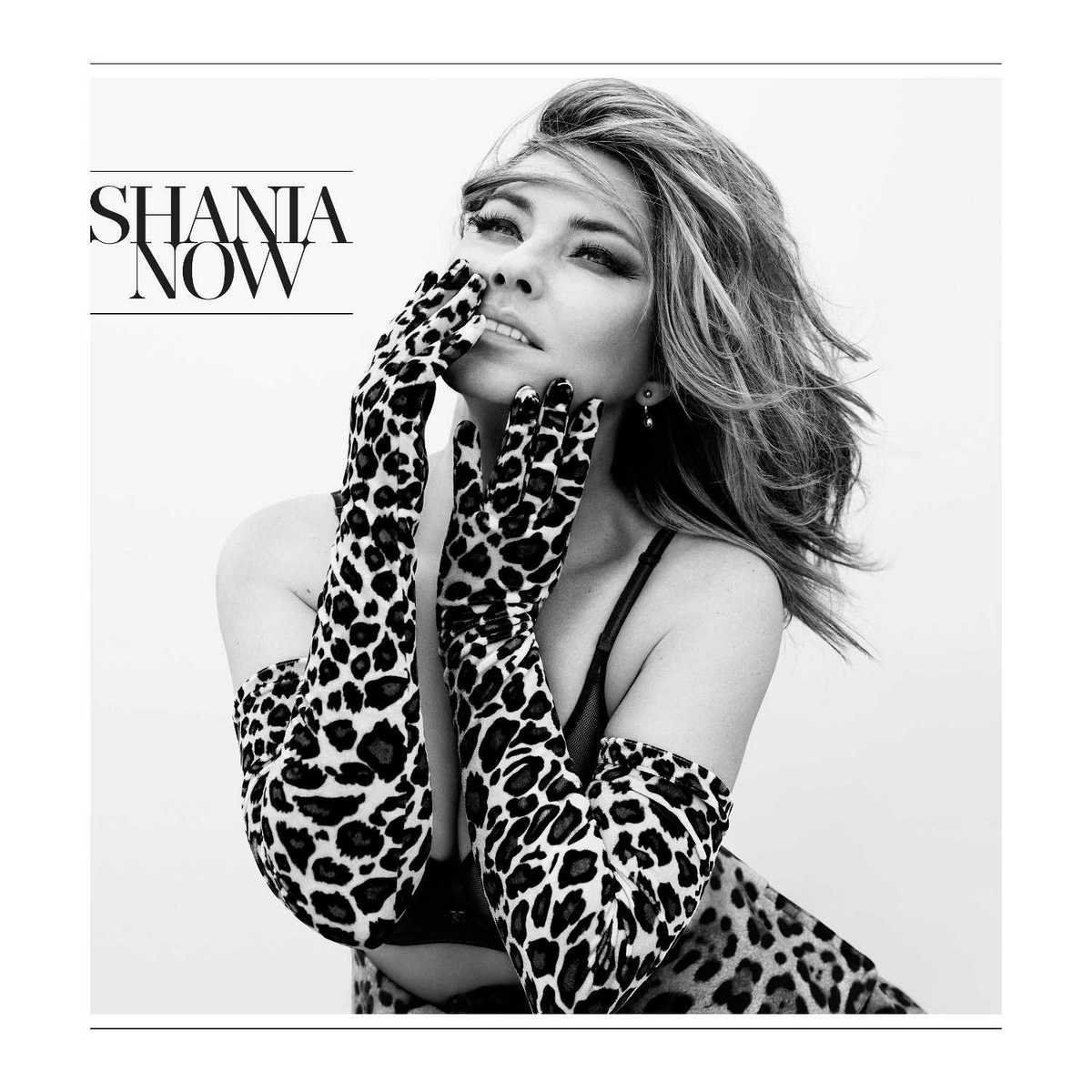 SHANIA TWAIN - NOW (DELUXE)
