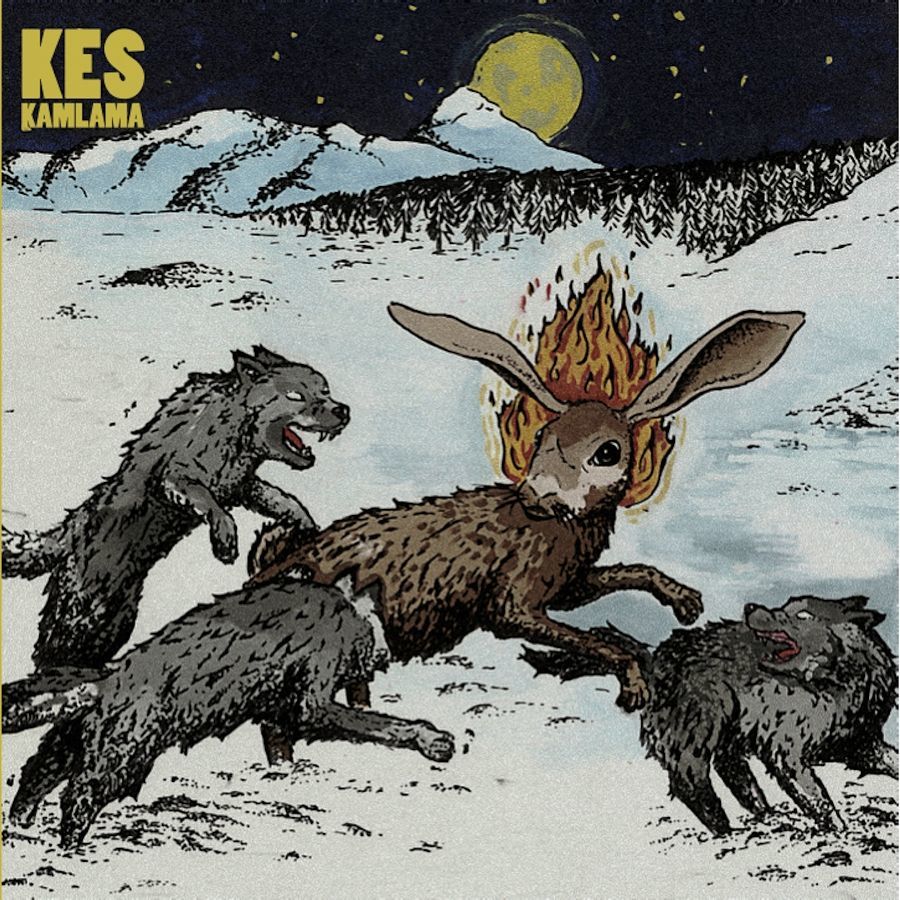 KES - KAMLAMA