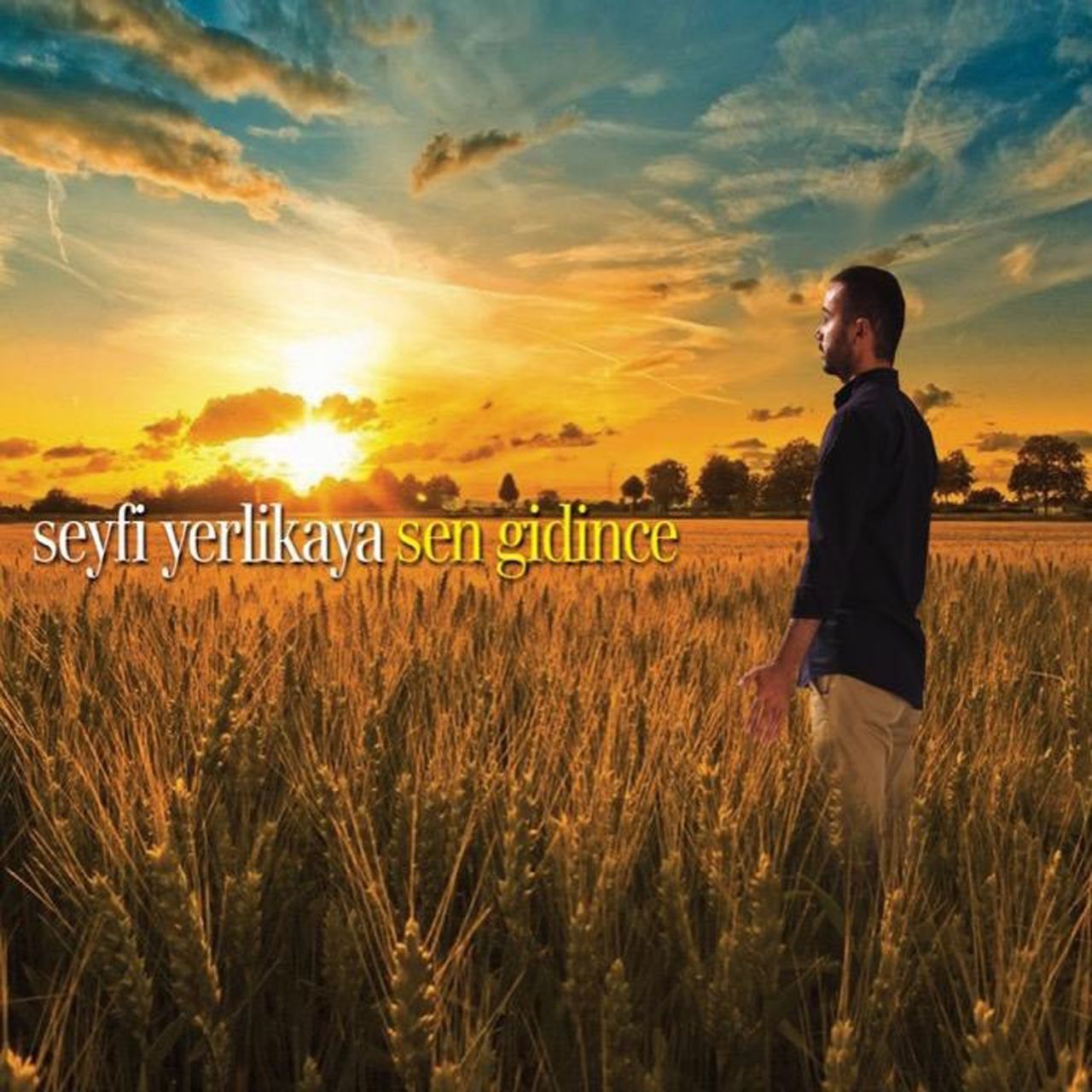 SEYFi YERLiKAYA - SEN GiDiNCE