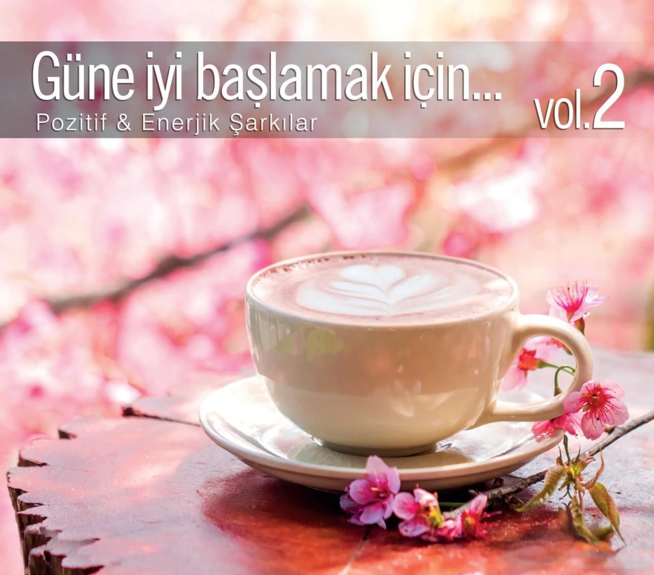 GÜNE İYİ BAŞLAMAK İÇİN…VOL. 2 - VARIOUS
