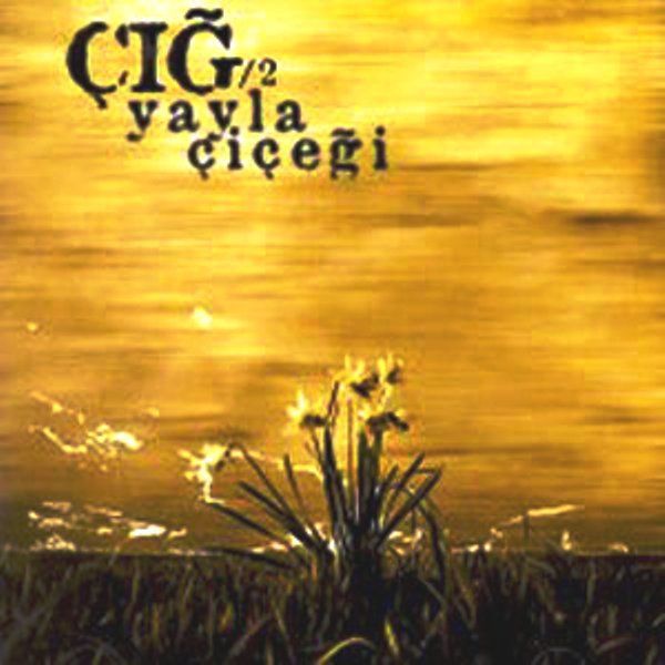 GRUP ÇIĞ - YAYLA ÇİÇEĞİ